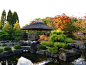公园景观,凉亭,水景,景石,植物,庭院灯松树