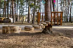 绳子,图像,森林,松木,童年,成年的,公园,风险,周末活动,运动