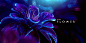 Magic   fantasy flower blue concept Style redshift everyday c4d Ae