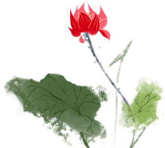 熬夜党采集到绘画动植物