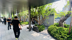 快乐hhhhh采集到20240807 山东淄博观辰