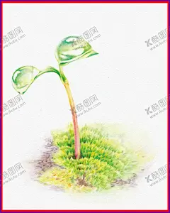 初叶 【酷图网】手绘古风植物,彩色油画,油画风景,绿草鲜花,植物,树草,古风风景,植物元素,植物素材,树枝,树枝花鸟,树枝素材,树枝插画,插画元素,插画素材,插画装饰,节气元素素材,手绘树枝,手绘插图,春天元素,春天素材,初春,初春元素,初春素材,立春,夏季元素,植树节元素,植树节素材,古风植物