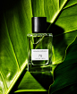 David Prince Photography | Fragrance-&-Beauty | 68 : This is Design X, a website you can build yourself