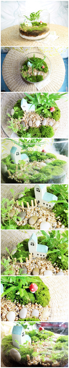 天惠-算咩东东采集到苔藓小世界