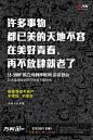 揽胜、亲爱的、塞尚、海纳、博加。
