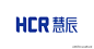 慧辰股份索赔：非标审计意见专项说明剑指信堂普华财务疑云，监管立案_手机搜狐网