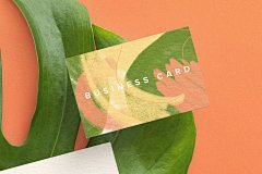 名片龟背竹植物 (PSD,PDF)