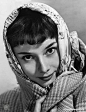 奥黛丽·赫本 Audrey Hepburn 图片