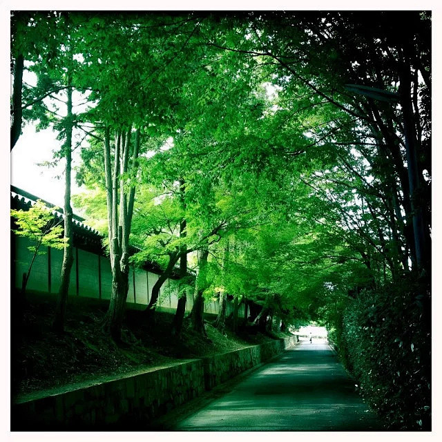 图加加网 [http://2820944...