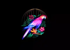 Fantasy Lights~这组插画真真是光之幻想~_Shapko : 在 Fantasy Lights 这个系列中，Ilya Shapko 想在幻想世界中展示他对不同的动物，鸟类，鱼类，等等的看法，在他的作品中，它们就好像是在梦中创造的，那是只有在童话中才能看得到的。 …