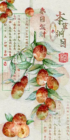 本草纲目壁纸｜高清手机壁纸_5_孝柳爱画画_来自小红书网页版