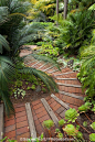 Brick path steps down through Worth tropical foliage garden on California hillside: 