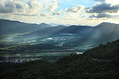 ELVIS易采集到御用大图