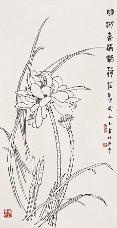 花脸猫姐姐采集到线稿