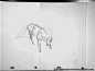 《小马王》和《探险时光》的马作画！来自动画大师James Baxter ​​​​