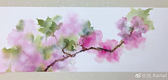 _夏至采集到花卉