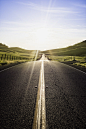 Into The Sun
