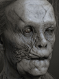Mason Verger, adam skutt : Personal work I started a while back and decided to finish up over the holiday break. For those who aren't familiar, it's Mason Verger from the Hannibal movie - played by Gary Oldman. Sculpted and rendered in Zbrush, the hair wa