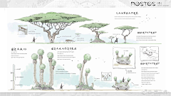 甚欢77777采集到插画-植物素材