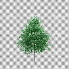 高清免扣树  - 源文件下载【酷图网】免扣,树,免扣树,高清,psd,树素材,元素,素材,树免扣,绿色树木,合成素材,建筑效果图,绿色植物,景观植物,园林,园艺,树丛,灌木丛,道路树,园林设计,PDS素材