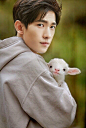 杨洋