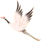 76c1874c-92dc-4f26-b838-663913560719 (350×350)