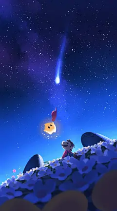 鲜花 夜晚 流星
