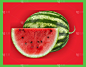 西瓜,红色,食品,图像,小吃,种子,无人,水果,水平画幅,绿色