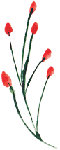 水彩油画野花植物花卉颜料海报手账剪贴画透明背景免抠PNG (90)