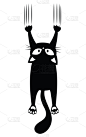 猫,墙,黑色,可爱的,传统,脉搏图,野生动物,剪影,抓