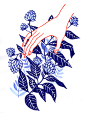 Fleurs bleues : - Fleurs bleues -