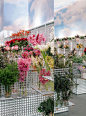 Galeria de Floricultura Mon Parnasse / Canobardin - 12