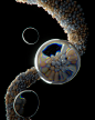 3D 3d art 3d artist c4d cinema 4d motion design redshift Render