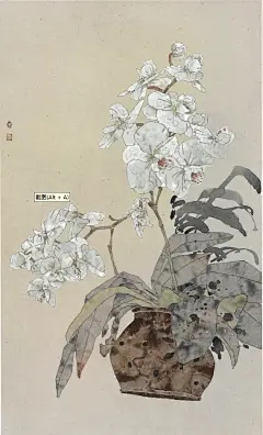 #搞的就是艺术 被中美协教授骂文化杂种的画，在西双版纳重生为九宫格奇迹 西双版纳30天写生实录&quot; 我在雨林解剖了30棵兰花 用腐烂的芭蕉叶当画板 都说西双版纳天气暖和 却在雨林写生冻得瑟瑟发抖 完成了这场东西方美学的核爆融合 中美协展厅那场骂战教会我： 传统不是棺材板 是打开国际市场的钥匙 （导师撕毁的画稿碎片至今贴在我工作室墙 #没骨画 #国画花鸟 #中国画的笔墨情趣 #艺术创作 #在大自然中感受中国画之美 #感受国画的意境 #写生创作 #原创 #作品欣赏 - 小红书
