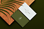 branding  Hospitality hotel luxury mexico palm Travel Tropical UI/UX Website