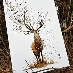 Jongkie 的手绘水彩动物插画
