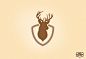 Whitetail Archery Lodge | Branding / Identity : Logo Design For Whitetail Archery Lodge 