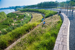 一而再再而三˙ϖ˙采集到B 滨水景观、湿地