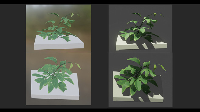 Plants growing quiet...