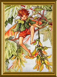 鹰眼龙雨采集到Cicely Mary Barker 画师