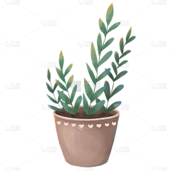 金桔子yy采集到植物