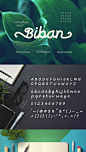 【FONT-086】Biban马克笔时尚个性手写艺术包装品牌英文字体-淘宝网