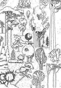 Pinterest : 发现想要尝试的食谱、家居创意、时尚灵感及其他创意点子。