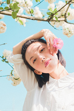 睡觉的兔子采集到女