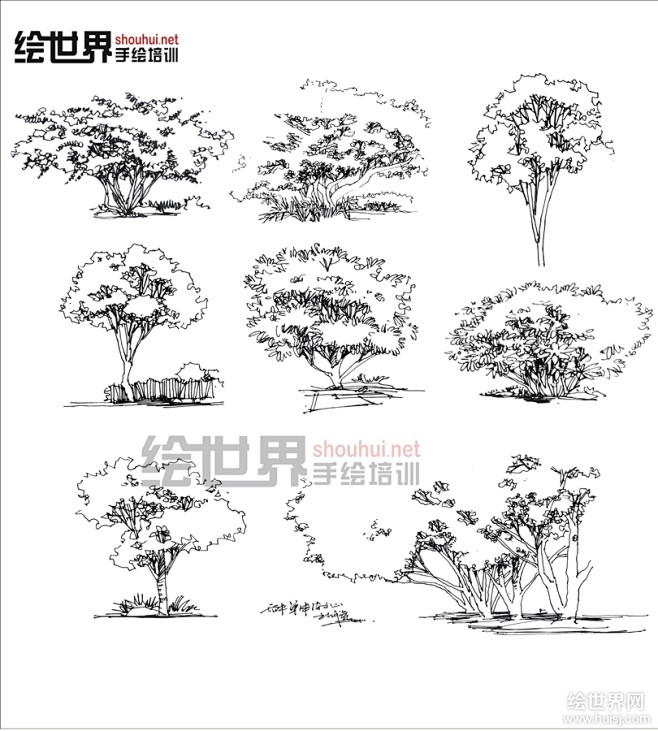 景观植物单体手绘 线稿和马克笔 - 景观...