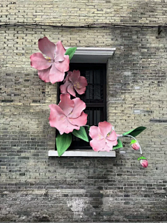 草莓馅饼采集到花花