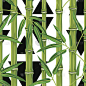 竹叶植物无缝图案。背景不