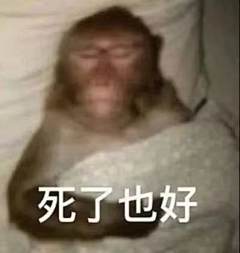 小响采集到表情包