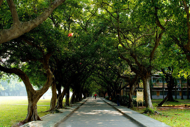 绝美的林荫大道 - 箫墨诗剑 - 箫墨诗...