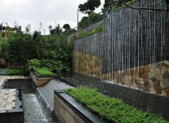 隋木木采集到水景